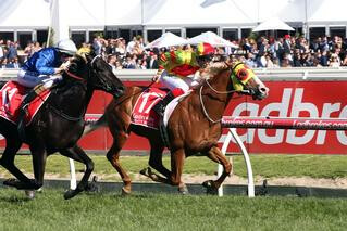 Mighty Boss claiming victory in the Group 1 Caulfield Guineas.